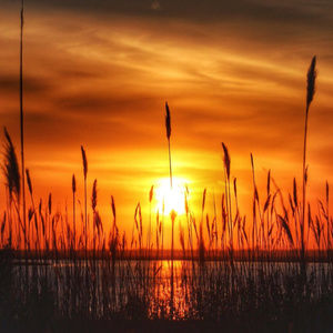 Meet your Posher, Barb